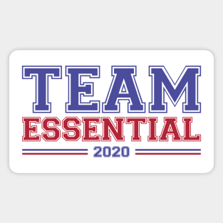 Team Essential 2020 USA Magnet
